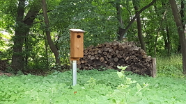 Wood Duck House Finished